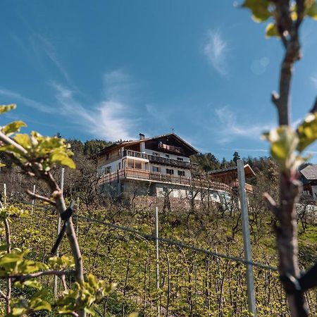 Malgorerhof Lavendel San Genesio Atesino Zewnętrze zdjęcie
